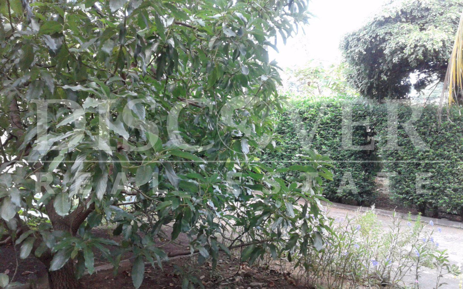 House for Sale in the Piedrecitas neighborhood ID 10265