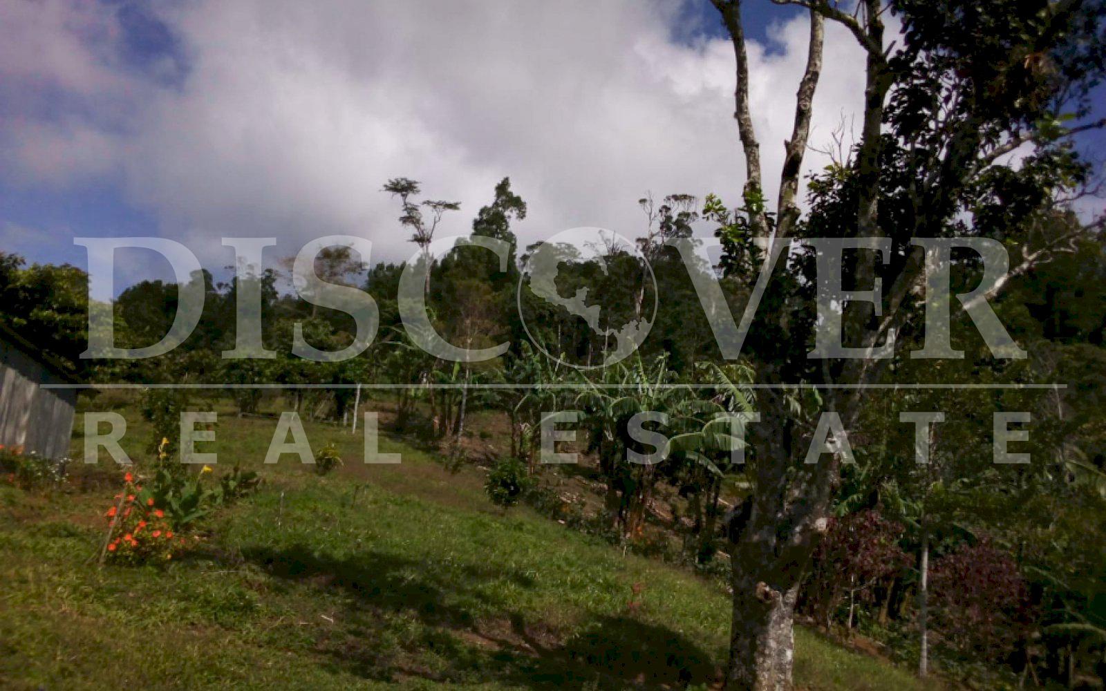 https://images.discovernica.com/propiedad/1600/7d3f2213_0c14_4e66_b1f3_19046c95107c.jpg
