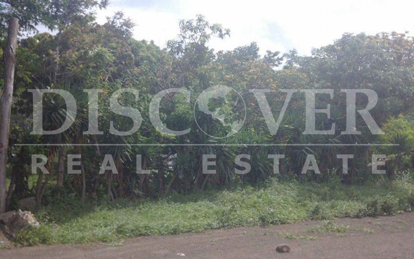 Imagen 4 de la galería