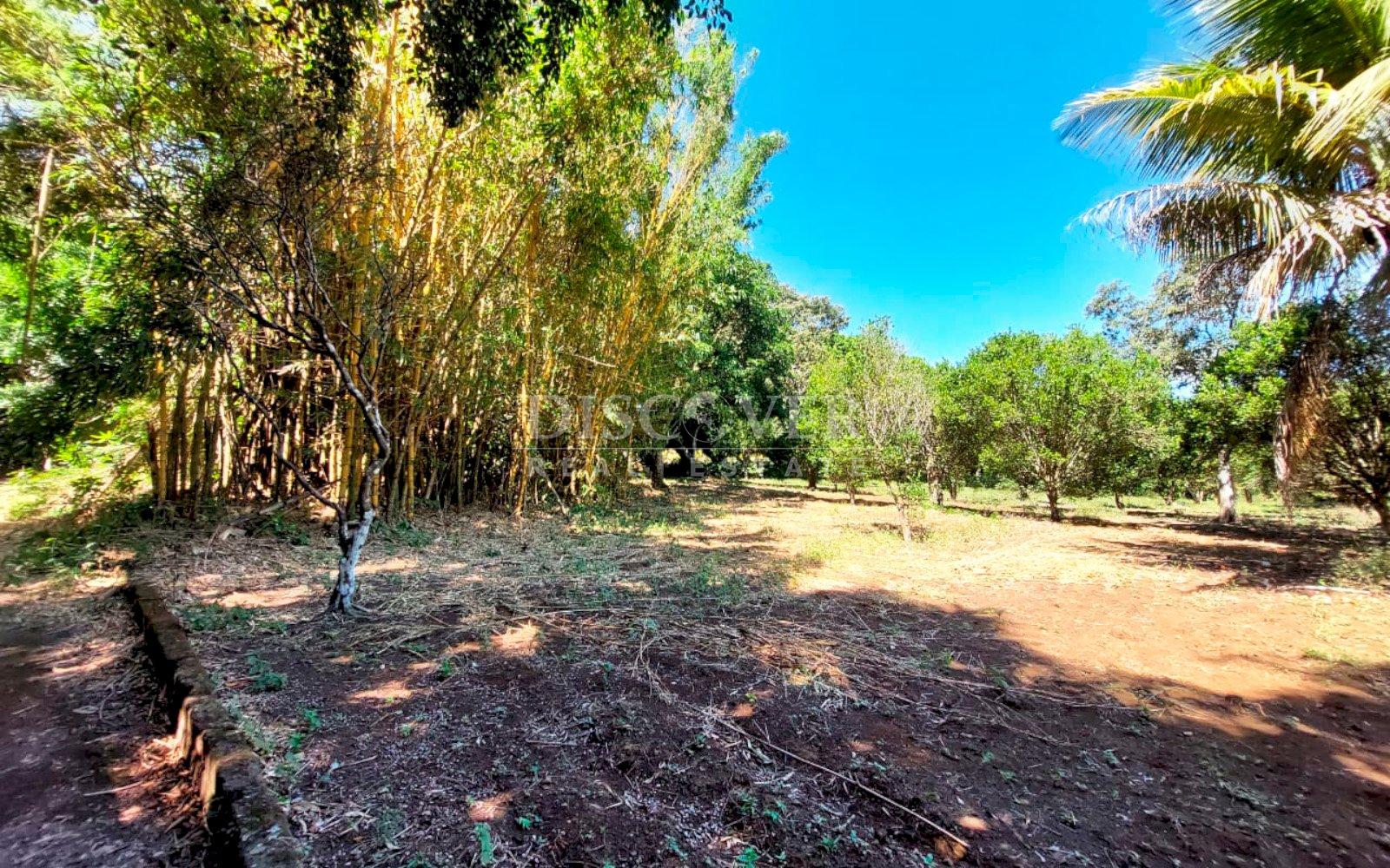  Land with large structures for sale - Jinotepe