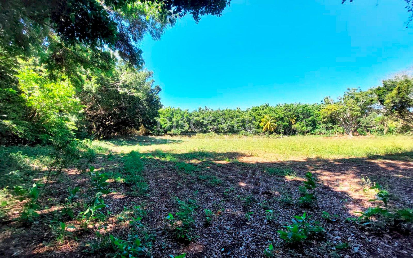  Land with large structures for sale - Jinotepe