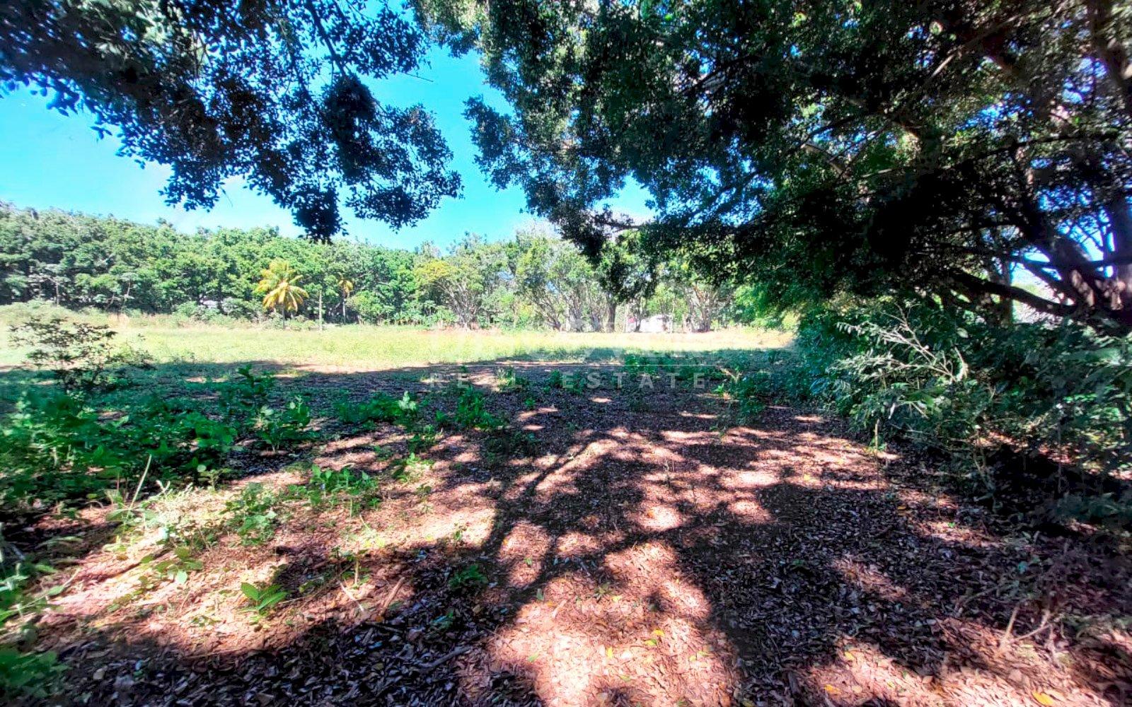  Land with large structures for sale - Jinotepe