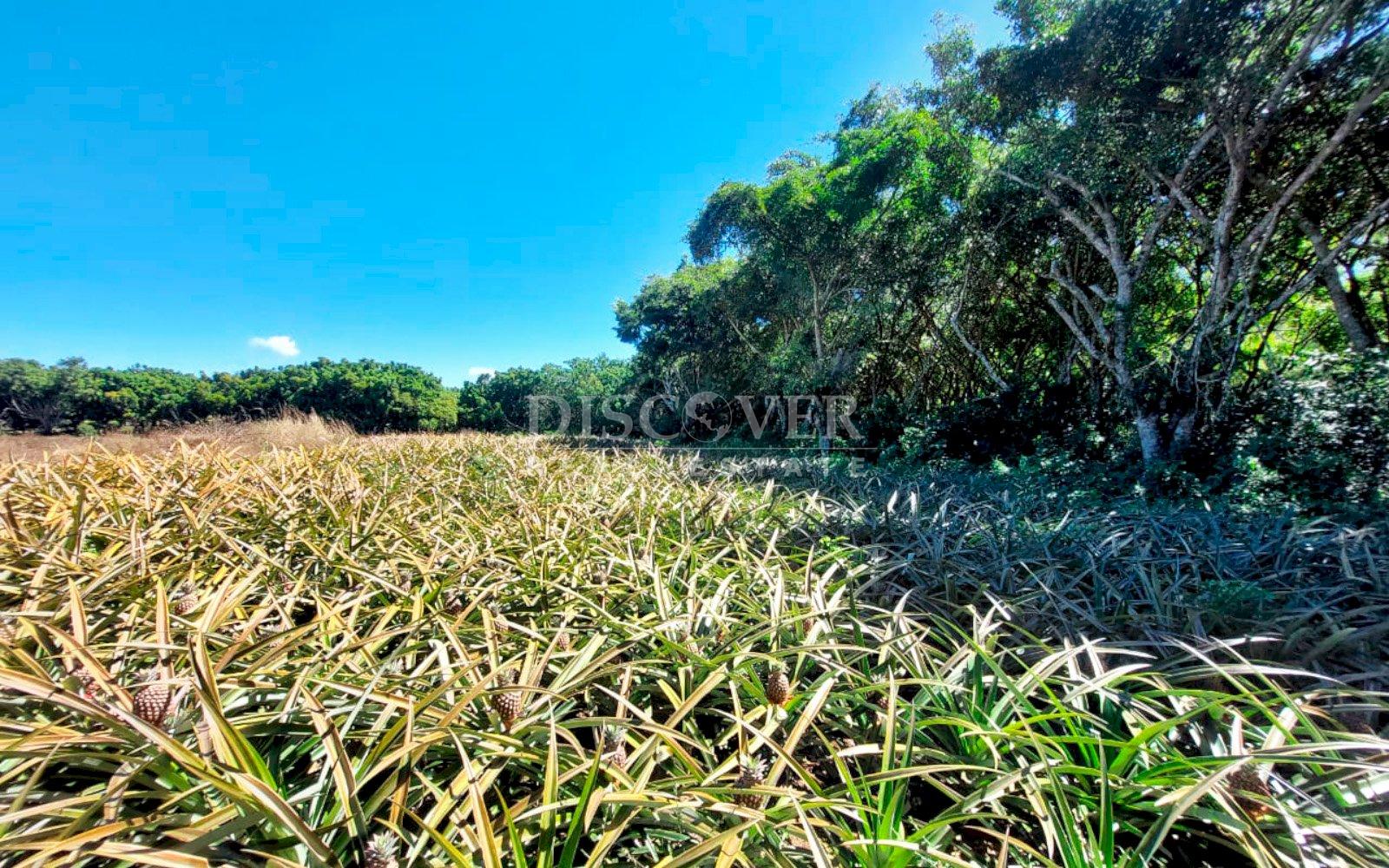  Land with large structures for sale - Jinotepe