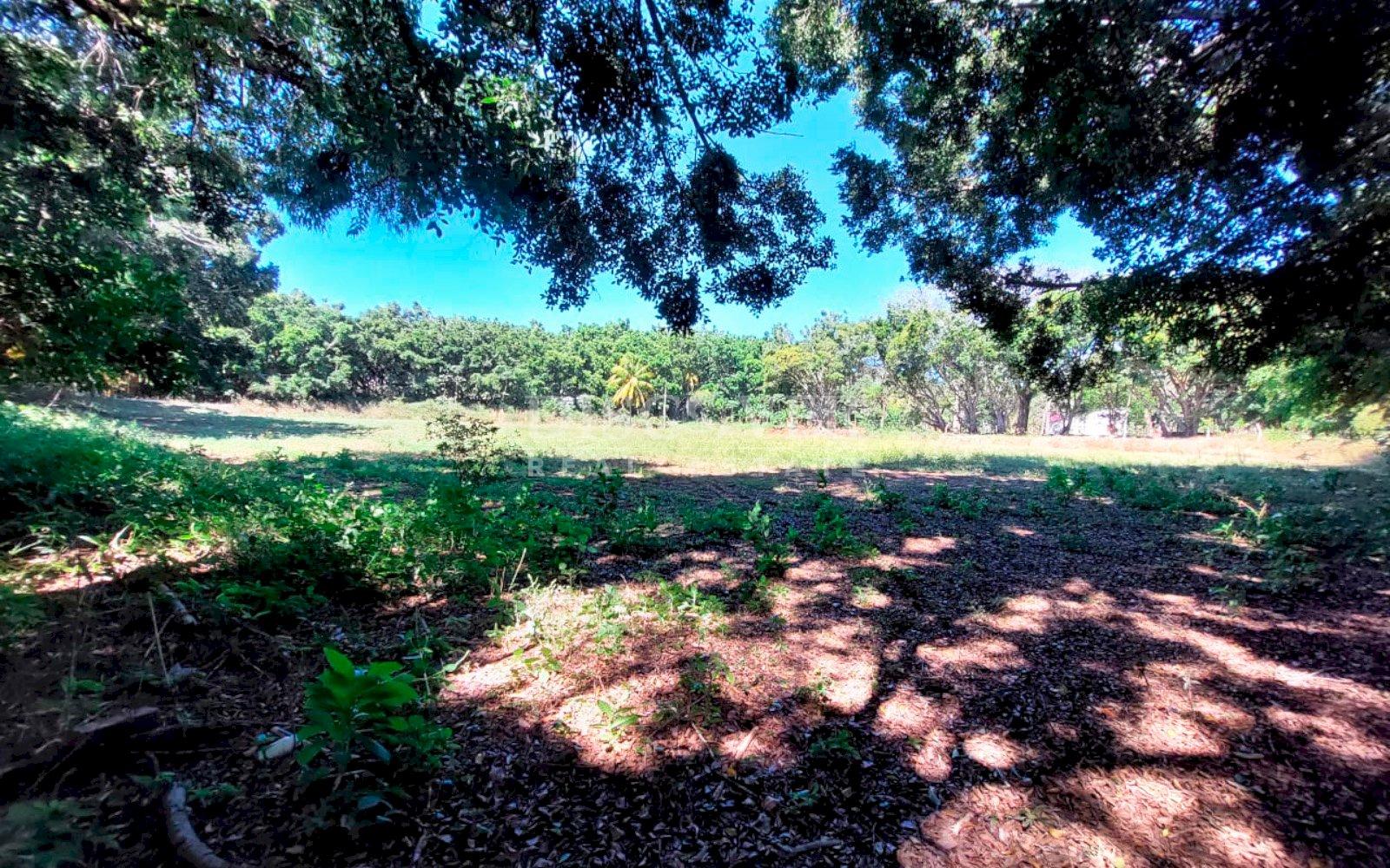  Land with large structures for sale - Jinotepe