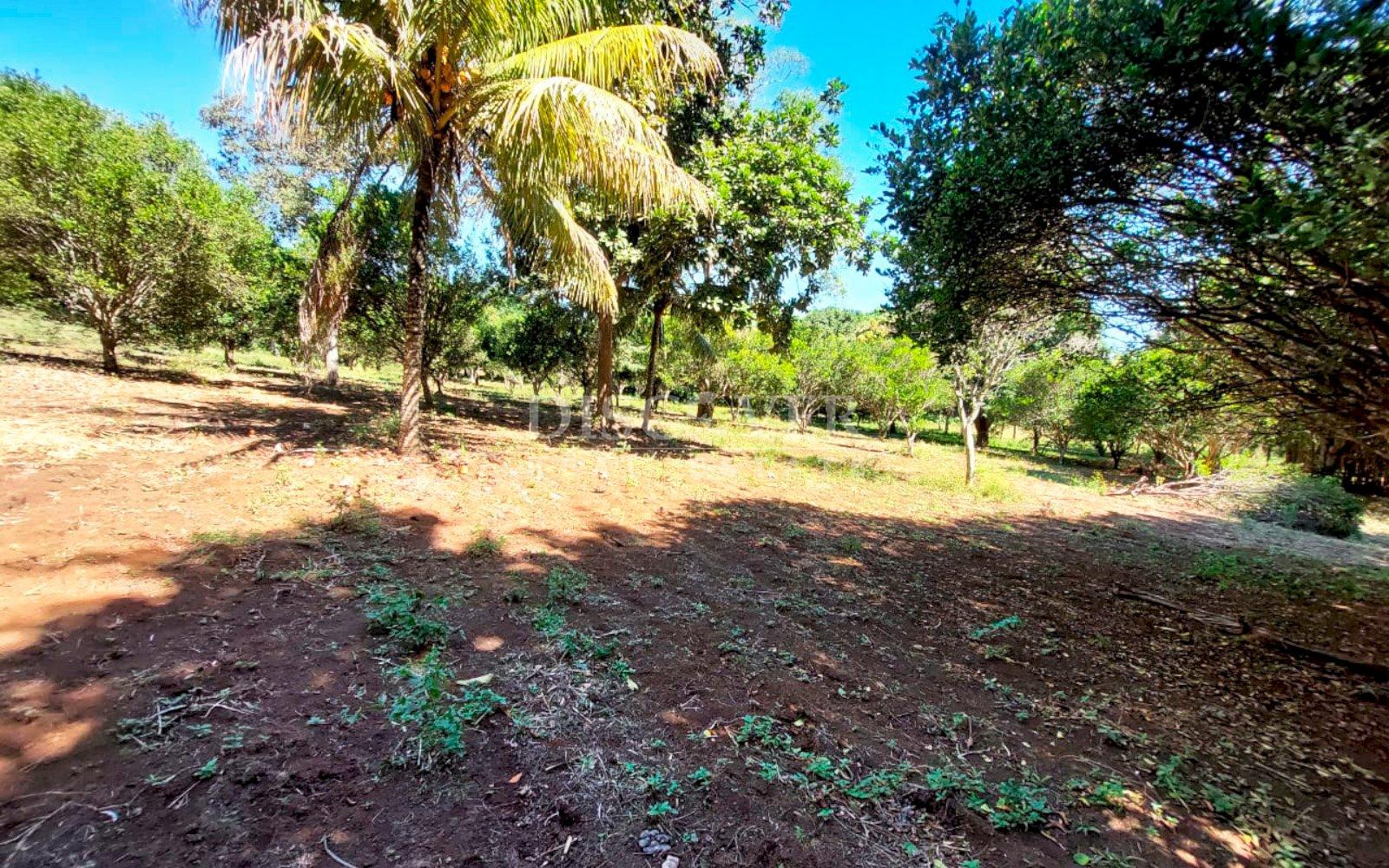  Land with large structures for sale - Jinotepe