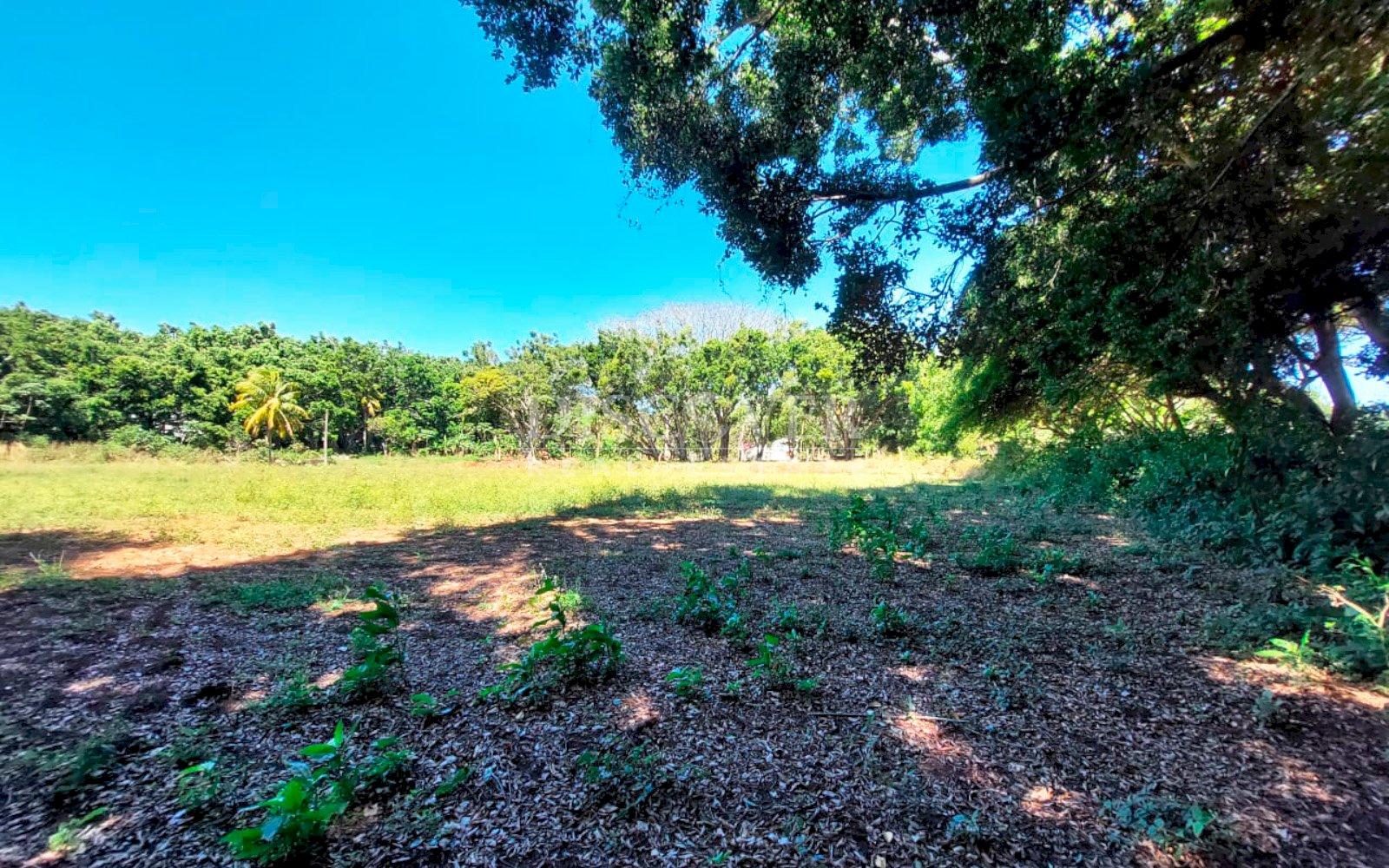  Land with large structures for sale - Jinotepe