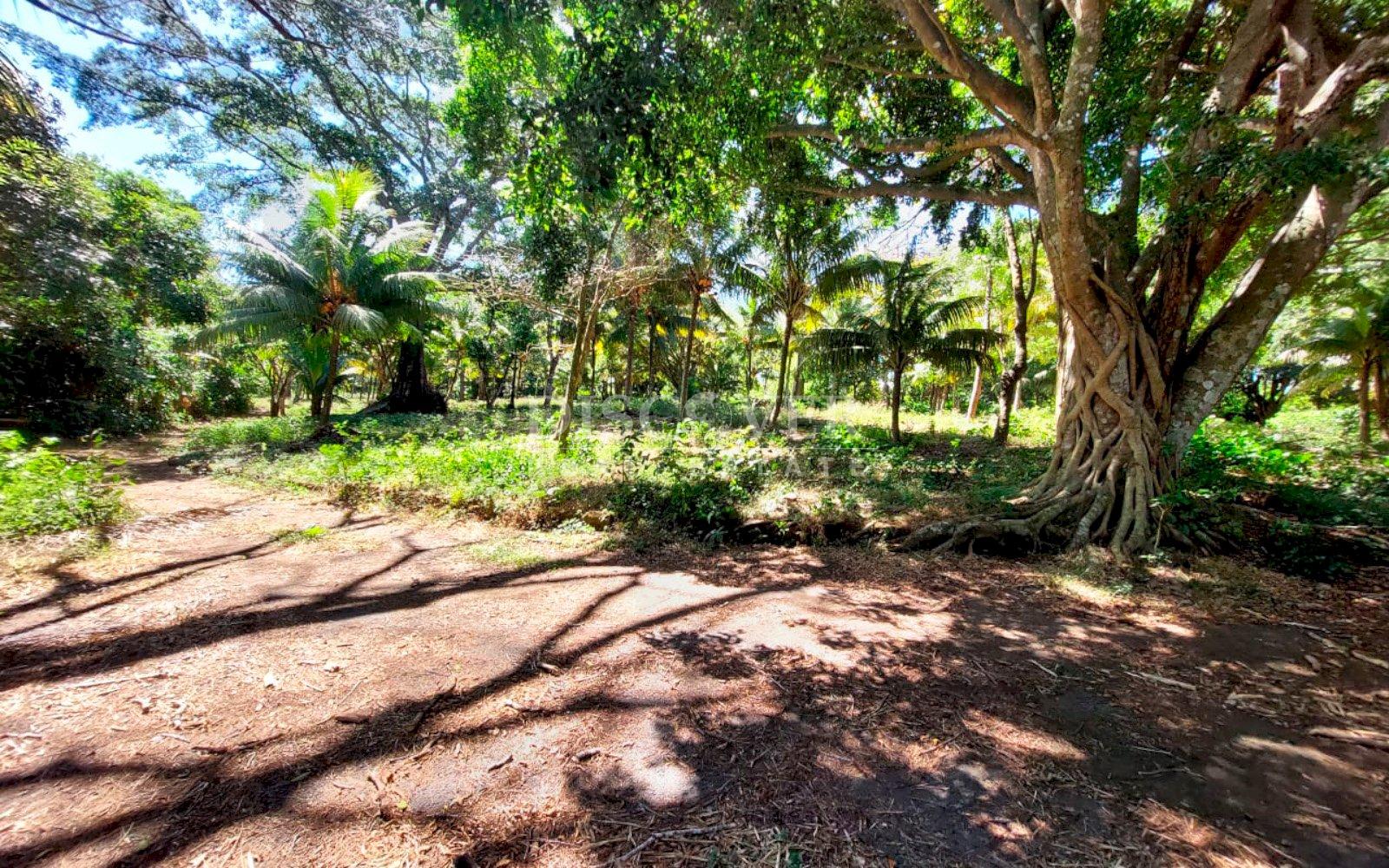  Land with large structures for sale - Jinotepe