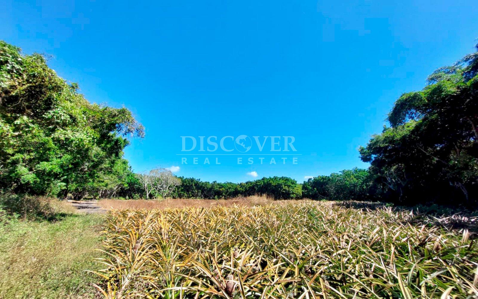  Land with large structures for sale - Jinotepe