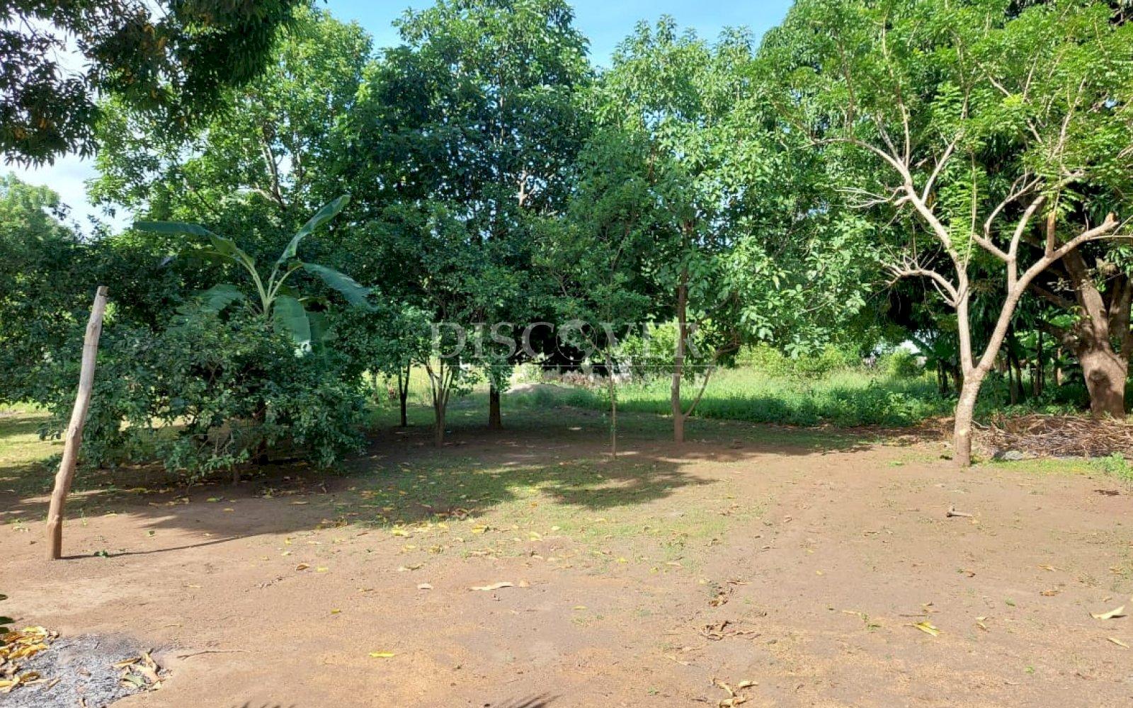  House for Sale in Veracruz Area ID 13019