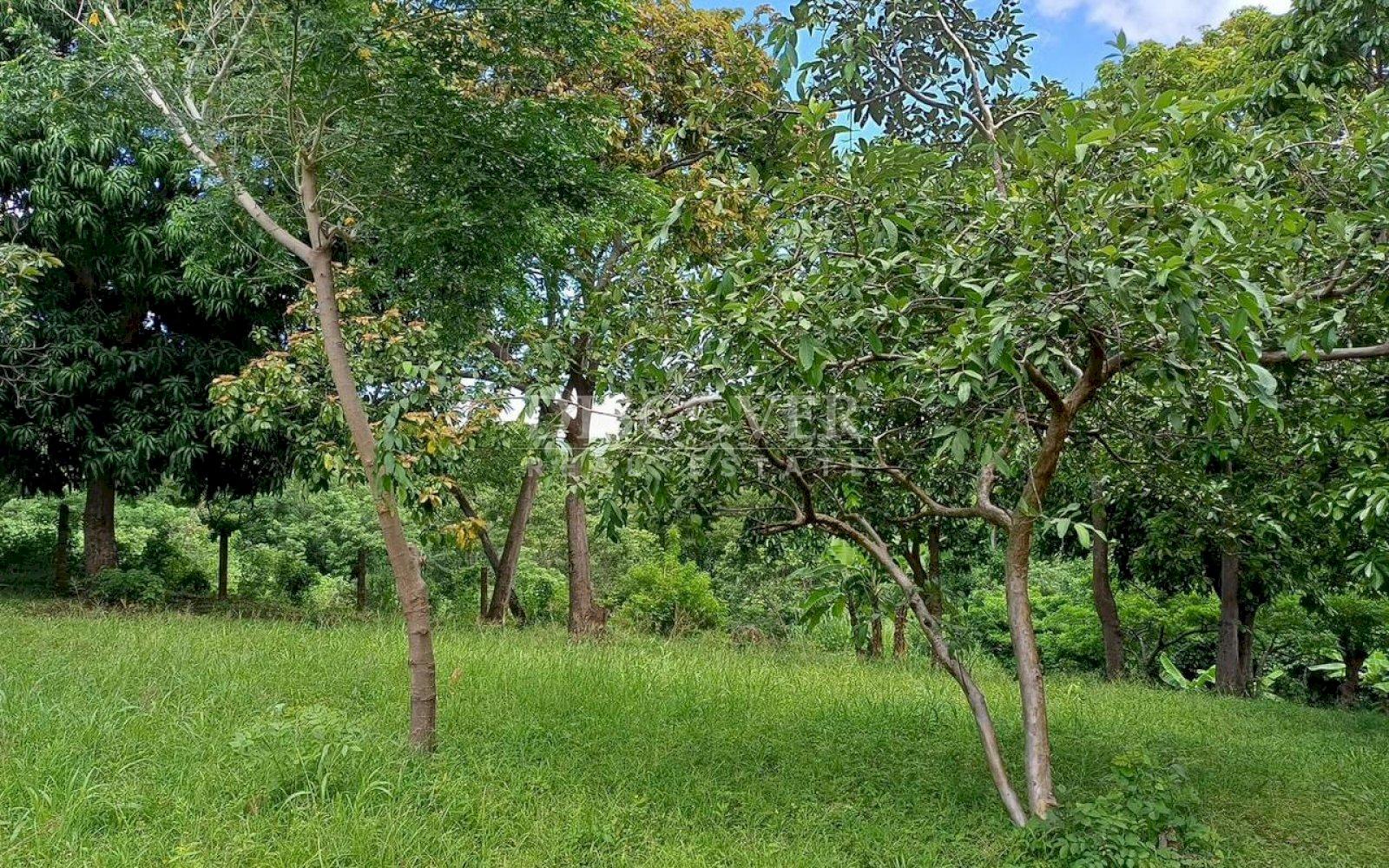 https://images.discovernica.com/propiedad/1600/8458272e_5c1e_48ab_a9e5_d1e8904afe67.jpg