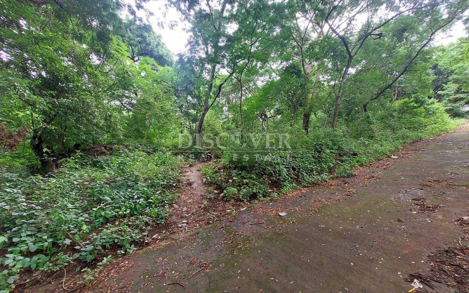 https://images.discovernica.com/propiedad/1600/85207785_c79b_4693_bb1f_bae4b903d4d1.jpg