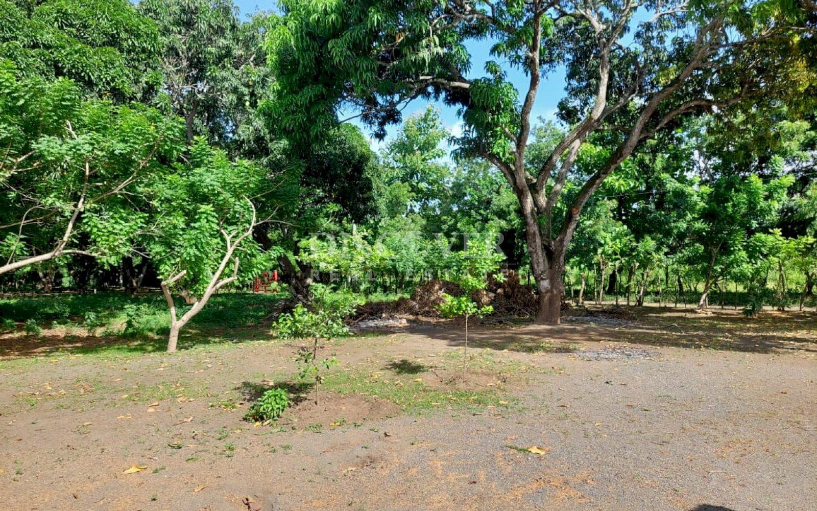  House for Sale in Veracruz Area ID 13019