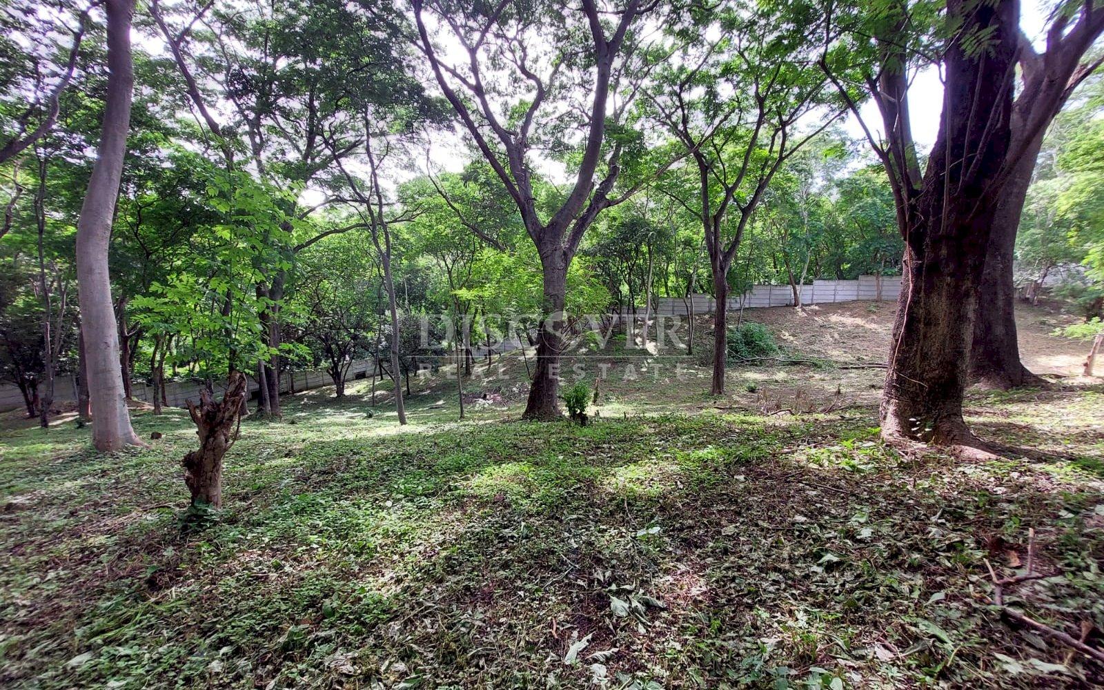  Land for sale in Villa Fontana.