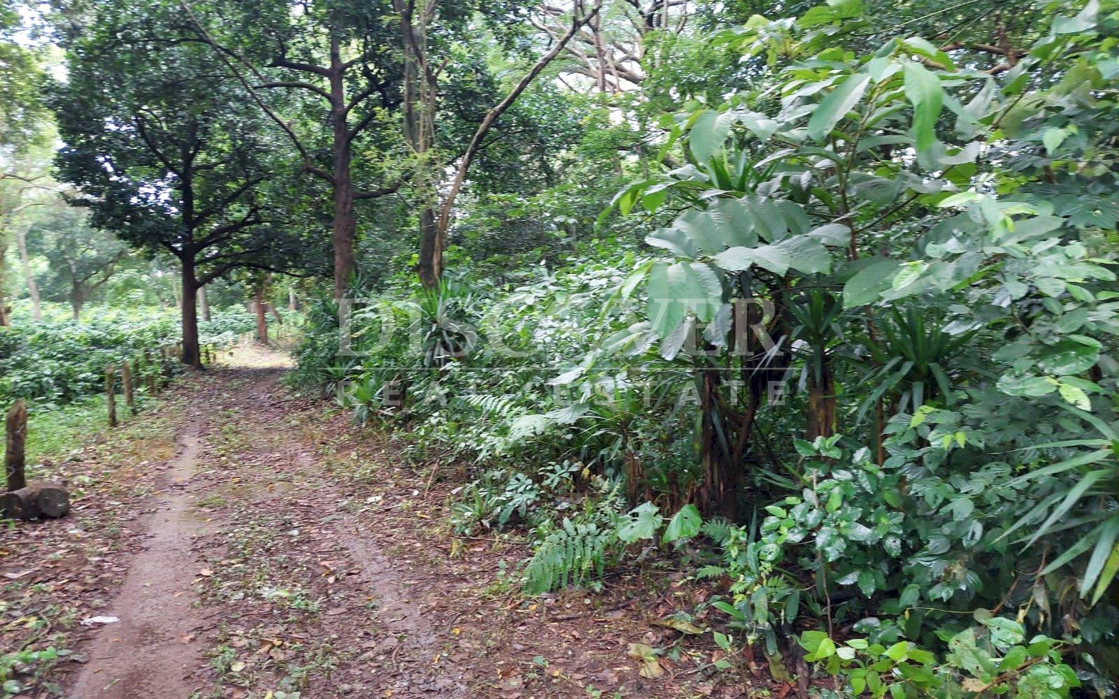 https://images.discovernica.com/propiedad/1600/9289171a_e81c_4c1f_8cfa_5f83d31bf930.JPG