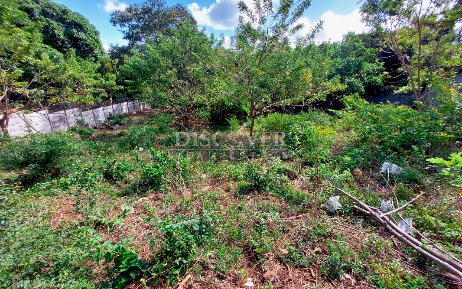 https://images.discovernica.com/propiedad/1600/9575_WEB_2.jpg