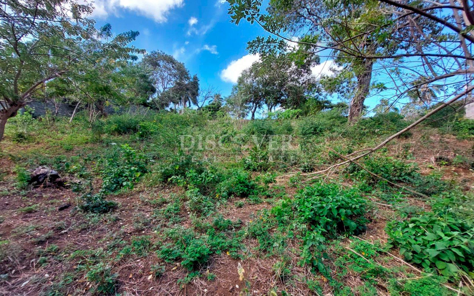 https://images.discovernica.com/propiedad/1600/9575_WEB_3.jpg