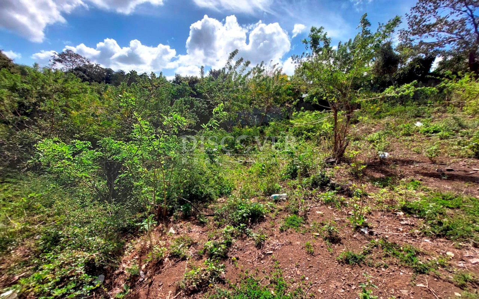 https://images.discovernica.com/propiedad/1600/9575_WEB_8.jpg