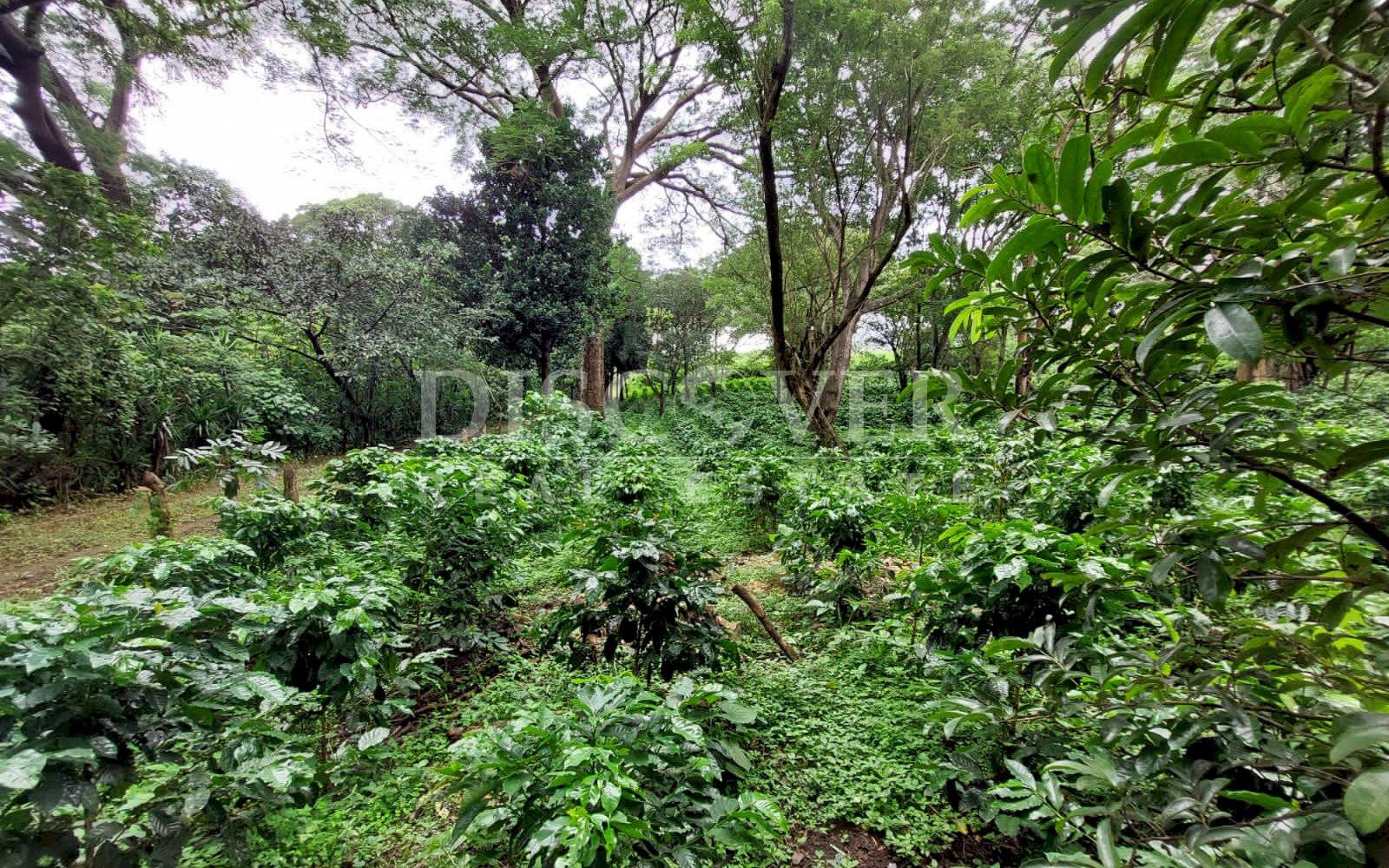 https://images.discovernica.com/propiedad/1600/9a525c62_b850_40cd_b8d3_c4f7beac3117.JPG