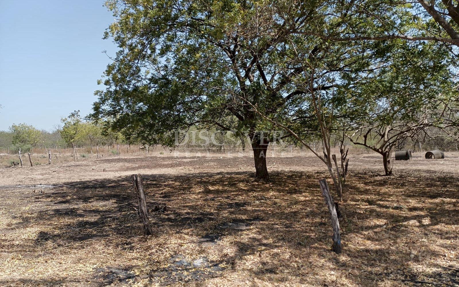  Beachfront land for sale in La Boquita