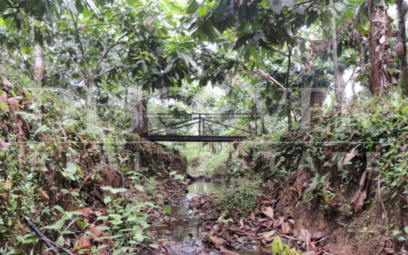 https://images.discovernica.com/propiedad/1600/A16E6699_BE74_4236_9C42_C25264167838.jpeg