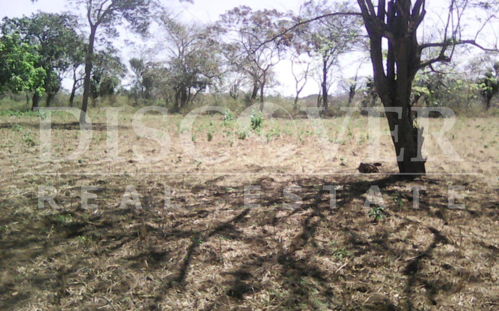  Estate for sale in Jinotepe - Carazo