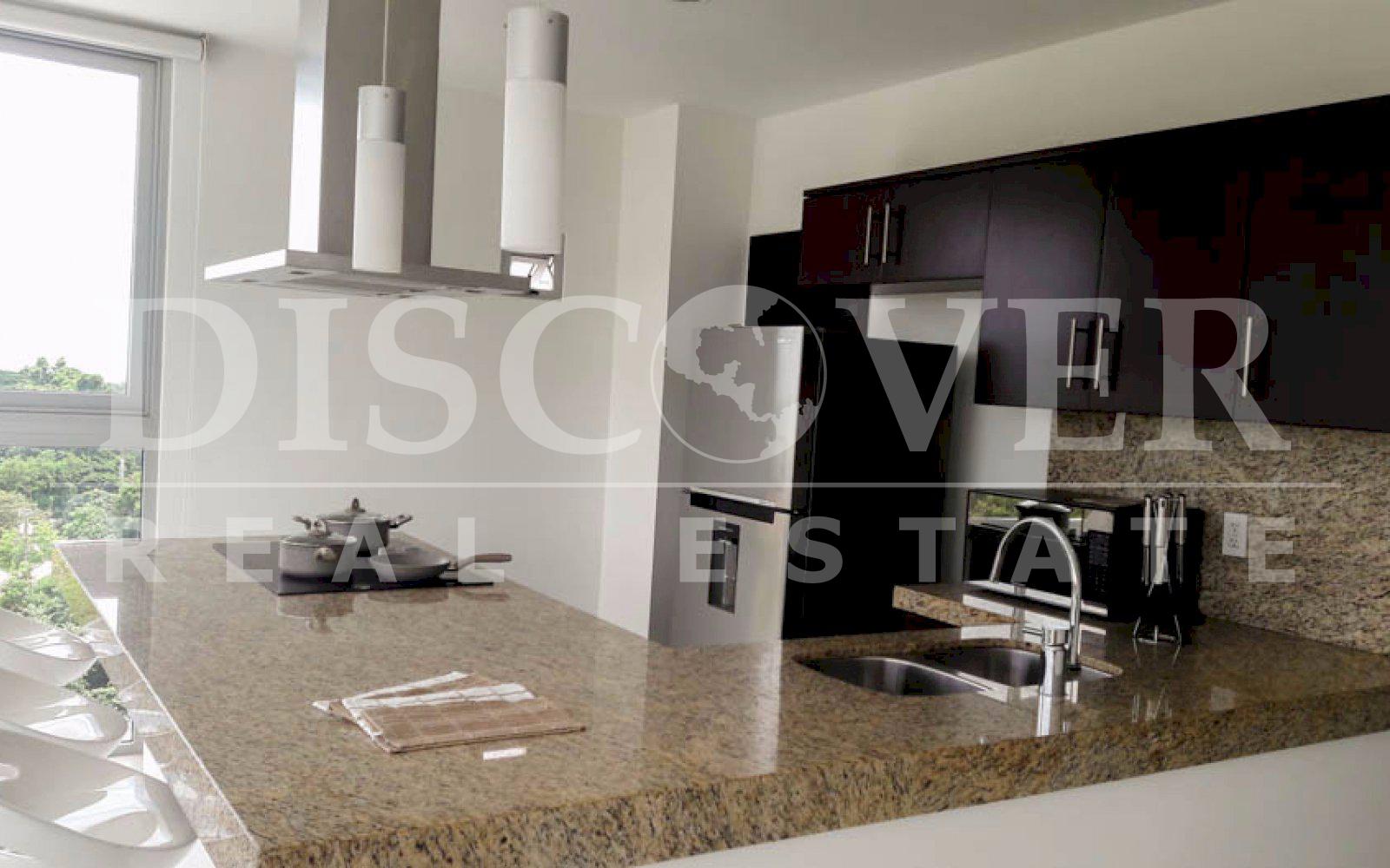 Imagen 7 de la galería