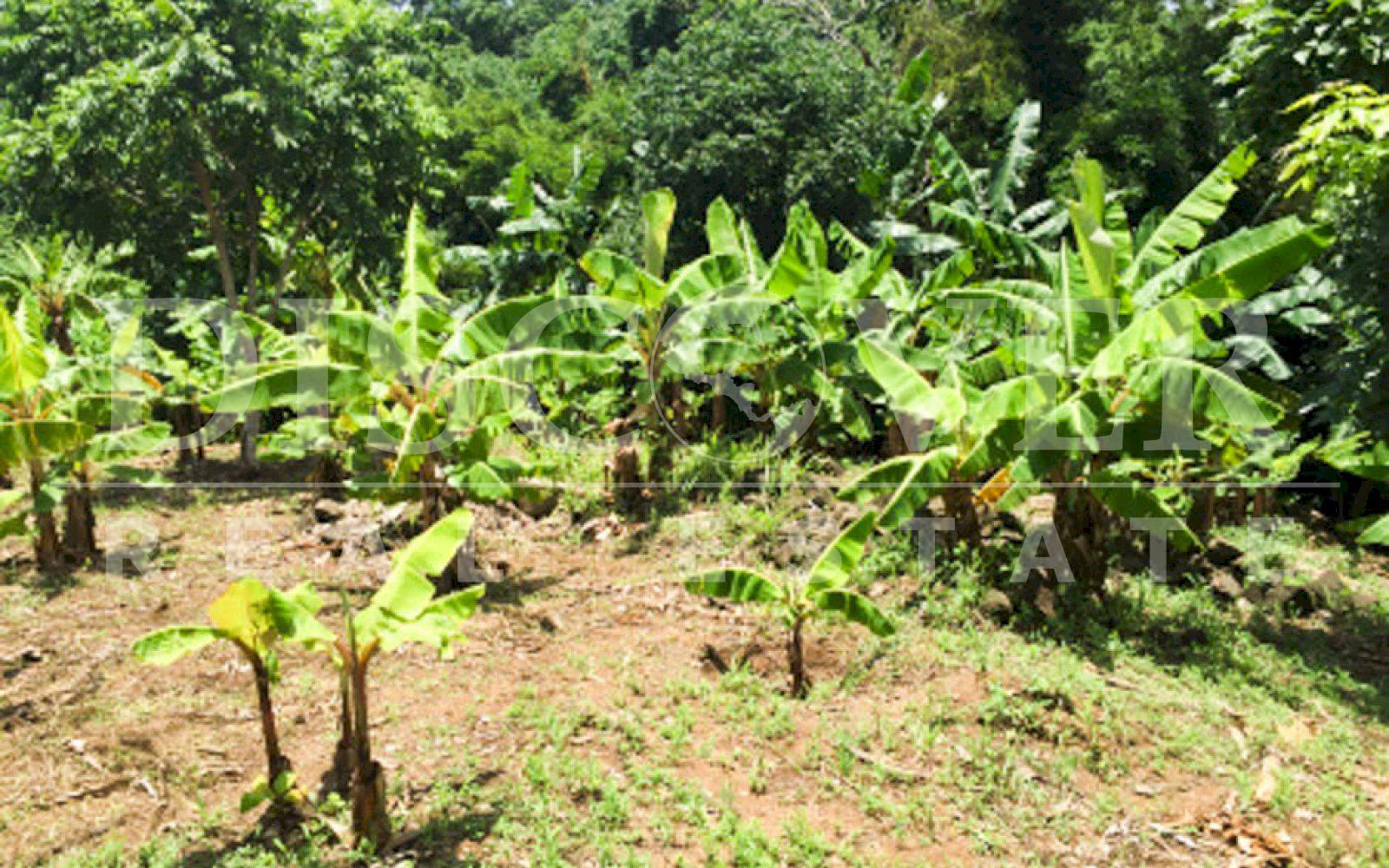 Attractive farm located in Niquinohomo, Catarina