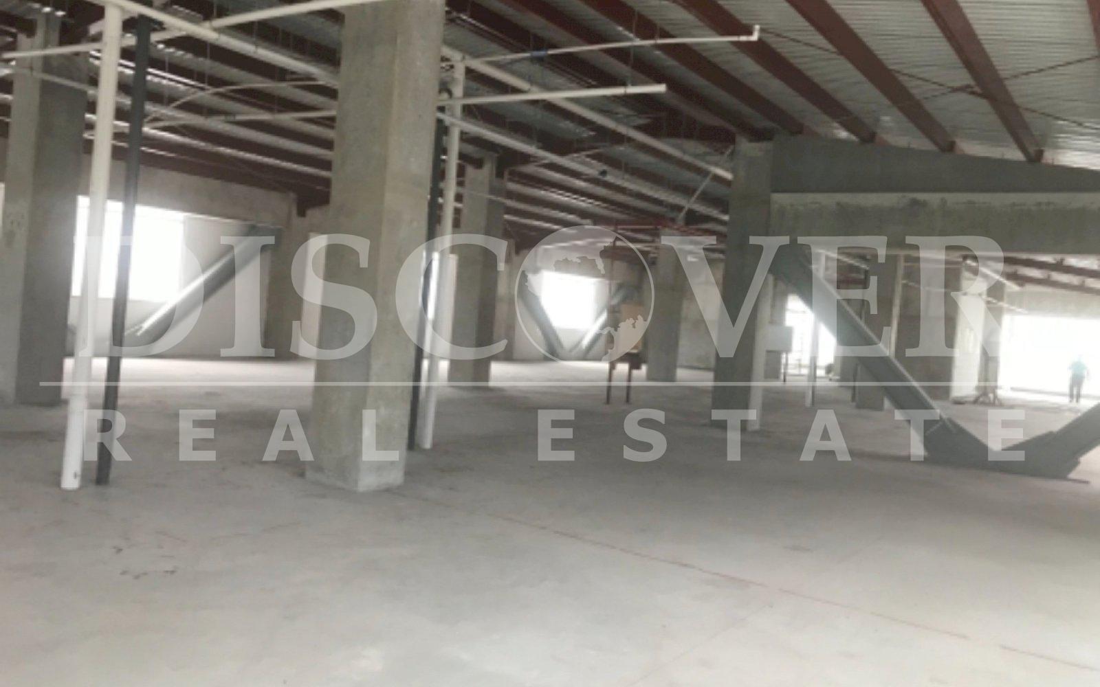  Rental Office Module in Jean Paul Genie ID 11501