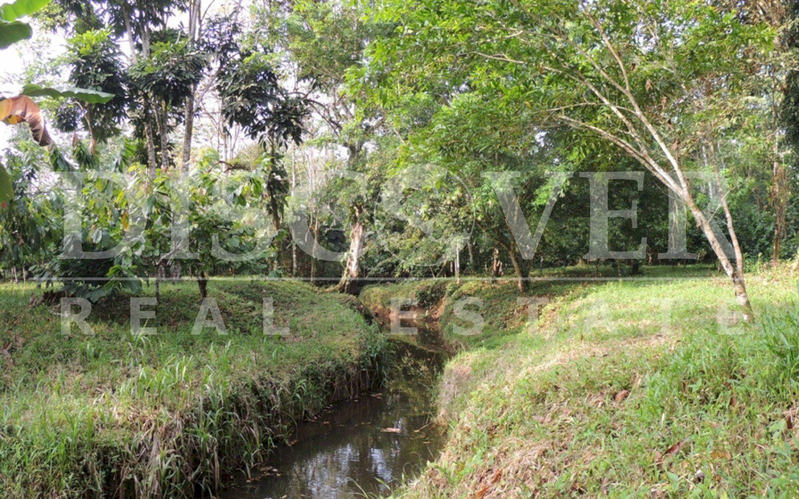 https://images.discovernica.com/propiedad/1600/C983E6CD_A149_494D_A292_C301B60422D2.jpeg