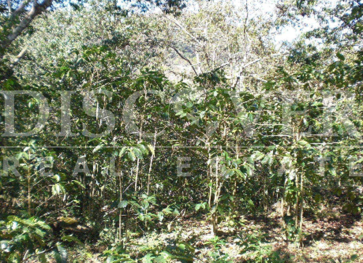 Imagen 2 de la galería