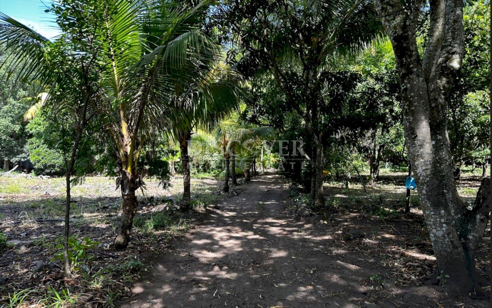  Road Front Land for Sale in Estelí.