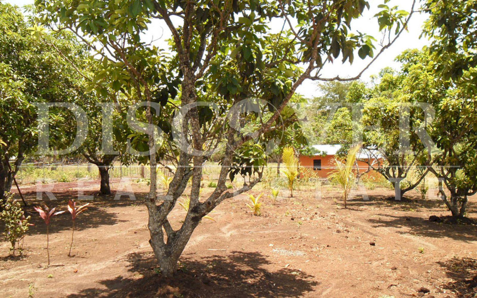 https://images.discovernica.com/propiedad/1600/Casa_Rural_a_la_Venta_en_Granada_12_.jpg