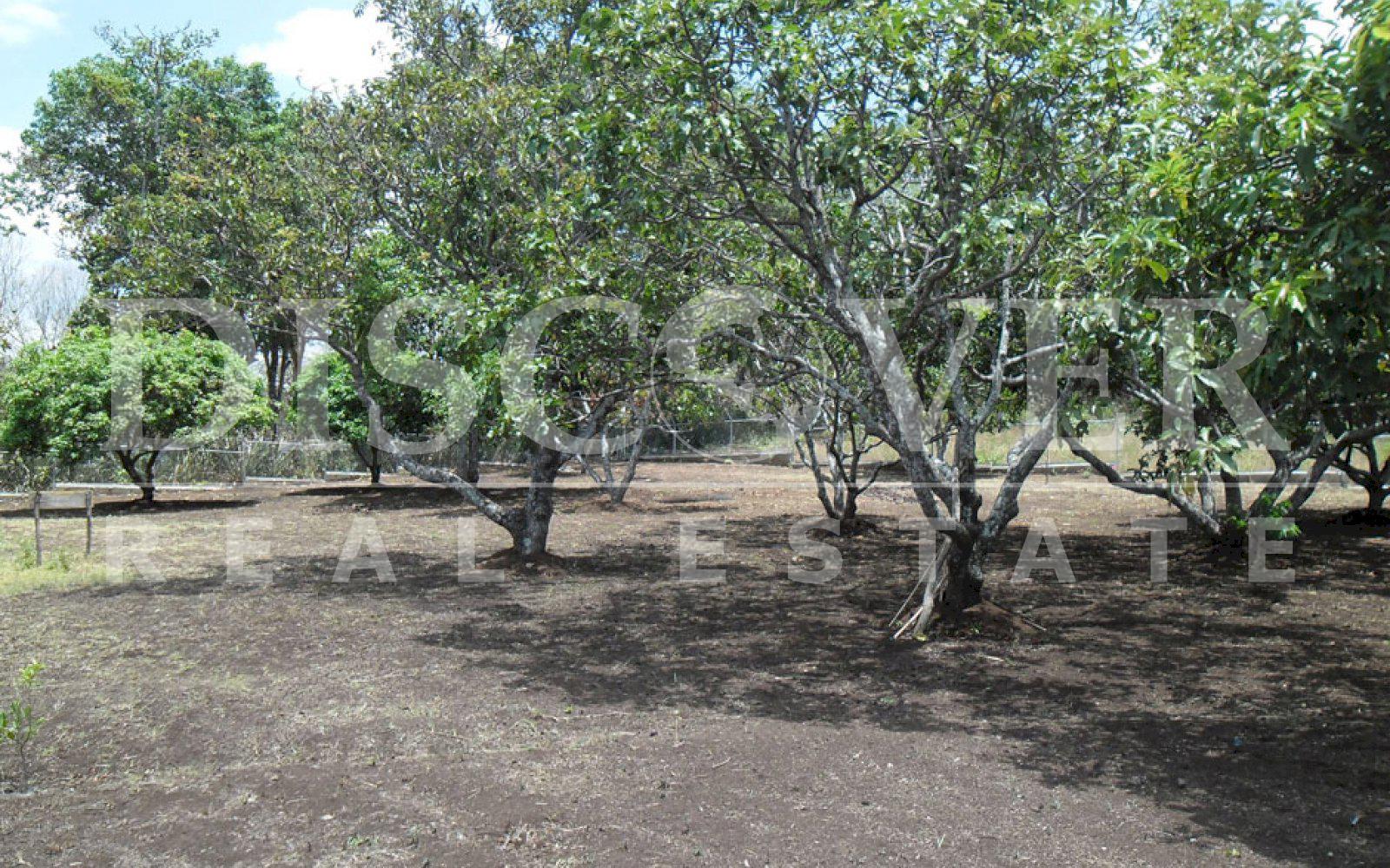https://images.discovernica.com/propiedad/1600/Casa_Rural_a_la_Venta_en_Granada_13_.jpg