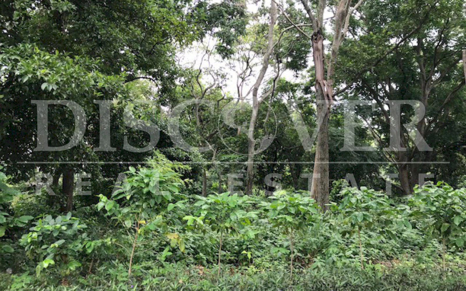 https://images.discovernica.com/propiedad/1600/Copia_de_IMG_6762.jpg