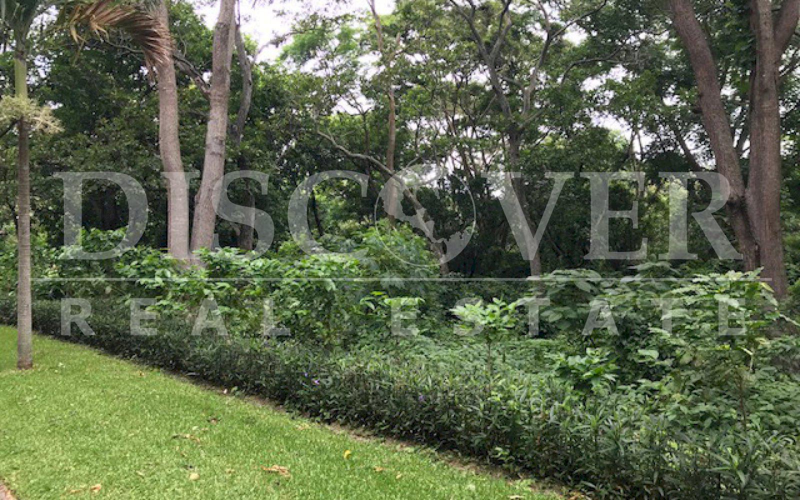 https://images.discovernica.com/propiedad/1600/Copia_de_IMG_6765.jpg