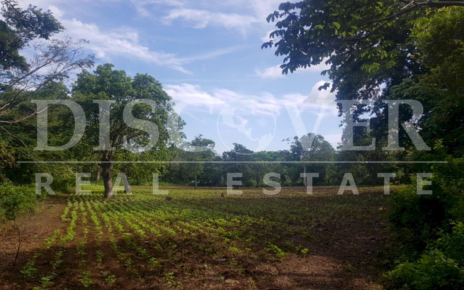  Estate for sale in Jinotepe - Carazo