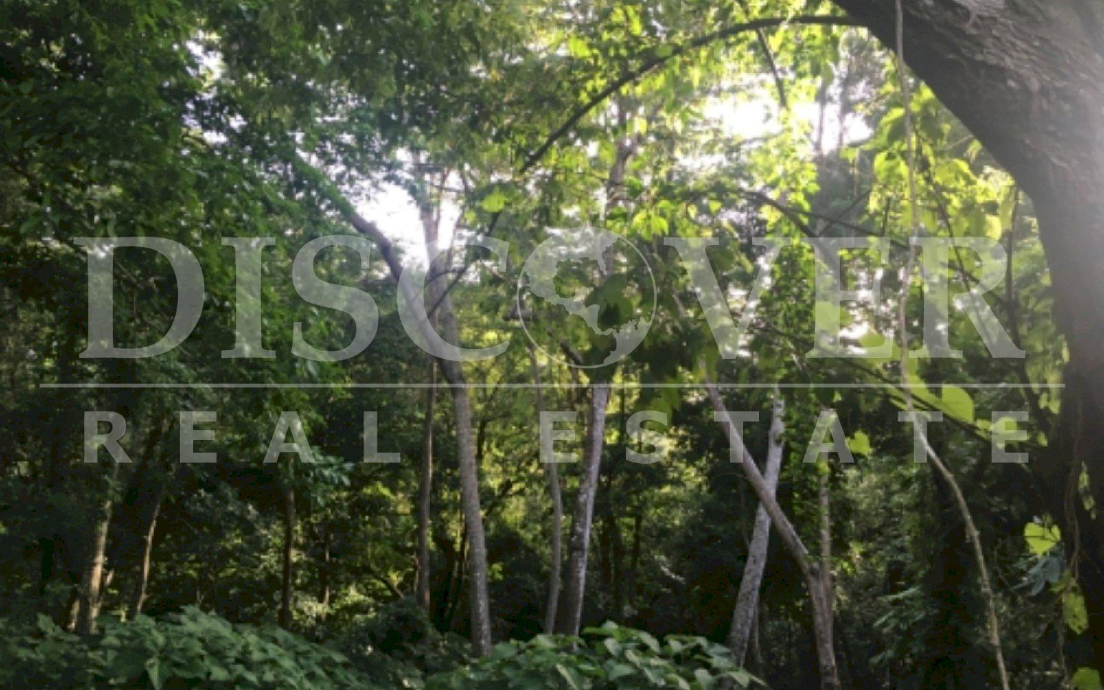 https://images.discovernica.com/propiedad/1600/DE5FD133_0D23_449C_A78A_48B3F75204BF.jpeg