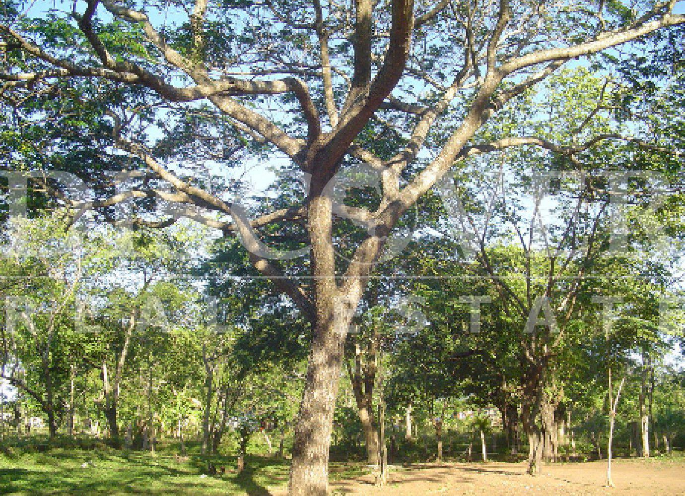 https://images.discovernica.com/propiedad/1600/DSC00009.JPG