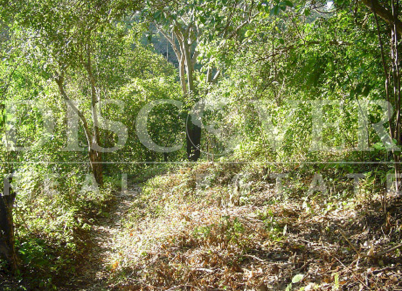 https://images.discovernica.com/propiedad/1600/DSC00023.JPG