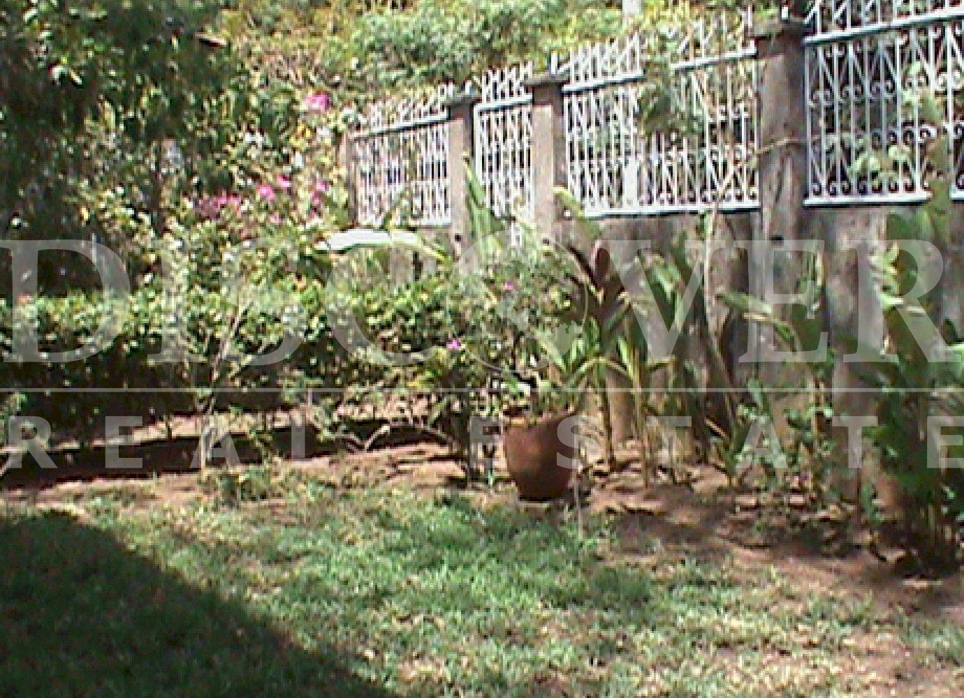 Imagen 4 de la galería