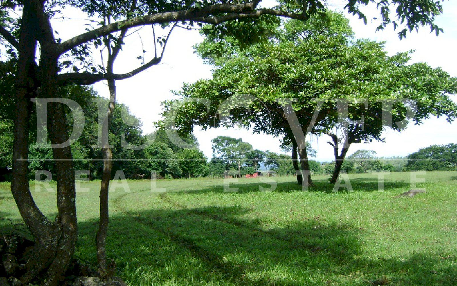 https://images.discovernica.com/propiedad/1600/DSC00233_1.JPG
