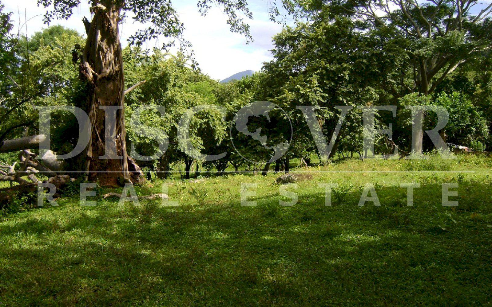 https://images.discovernica.com/propiedad/1600/DSC00245.JPG