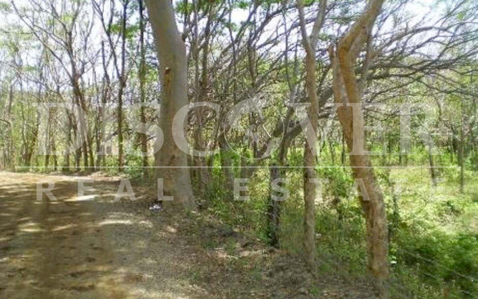 https://images.discovernica.com/propiedad/1600/DSCN2897.jpg