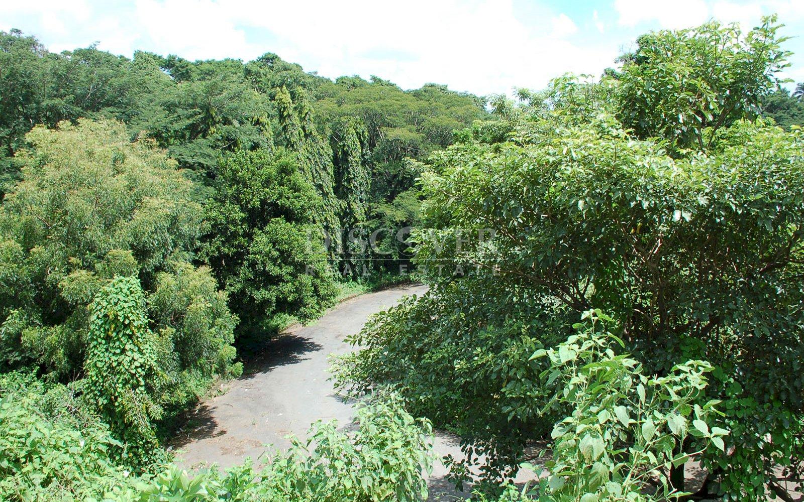 Imagen 4 de la galería