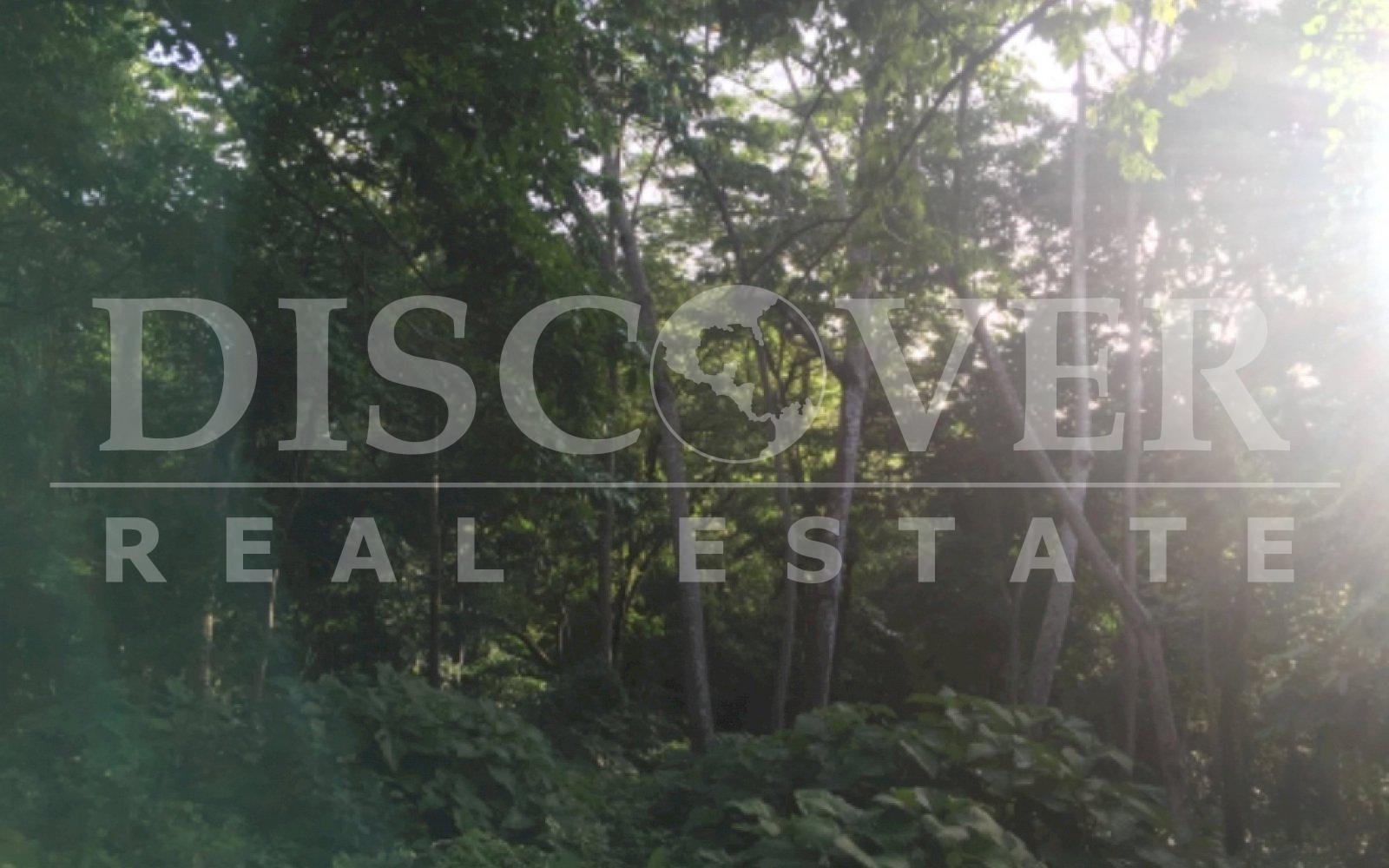 https://images.discovernica.com/propiedad/1600/E8B33ABC_D552_4619_8AE7_2957C23D4763.jpeg