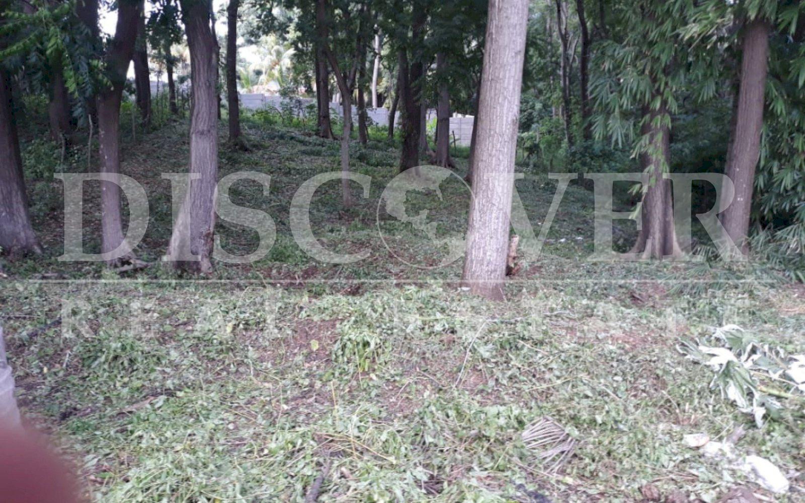 https://images.discovernica.com/propiedad/1600/EFVDEVdvsdv.jpg