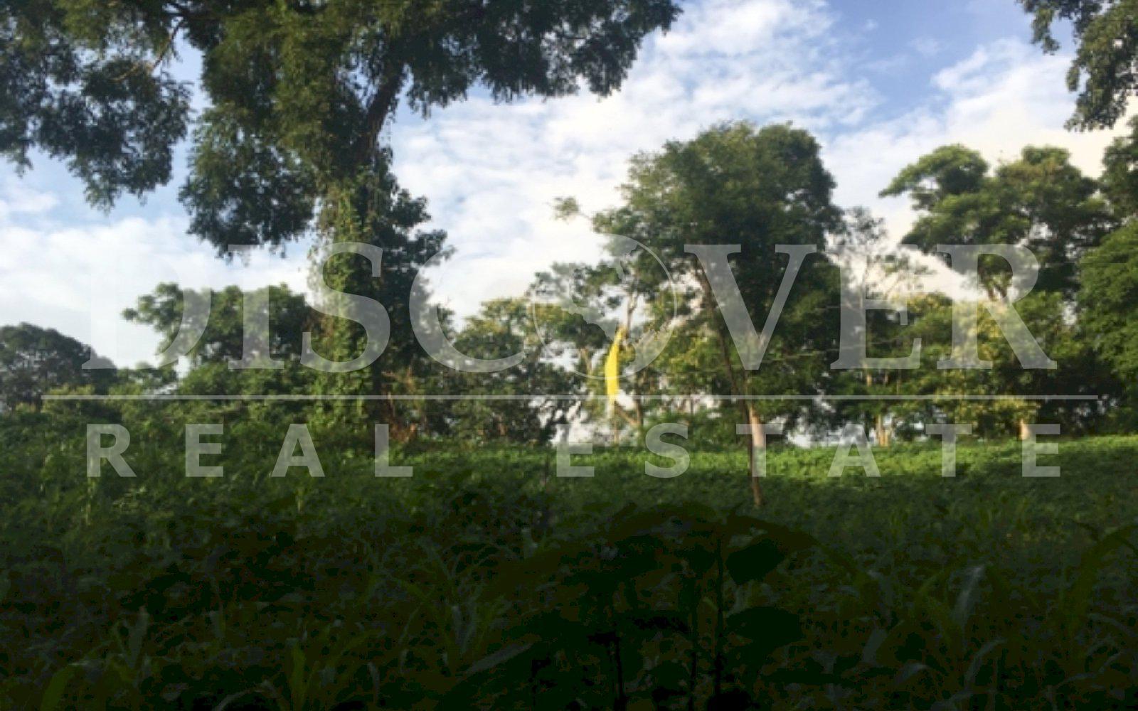 https://images.discovernica.com/propiedad/1600/F971E6BA_C559_4FD1_9578_BBAFE18AB02C.jpeg