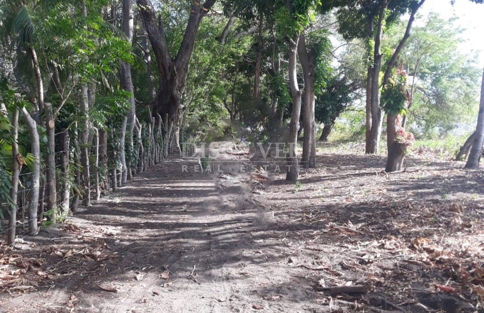  Land for Sale in Moyogalpa, Ometepe – Lakefront