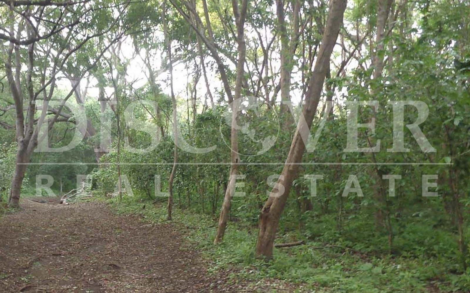 https://images.discovernica.com/propiedad/1600/Finca06.jpg