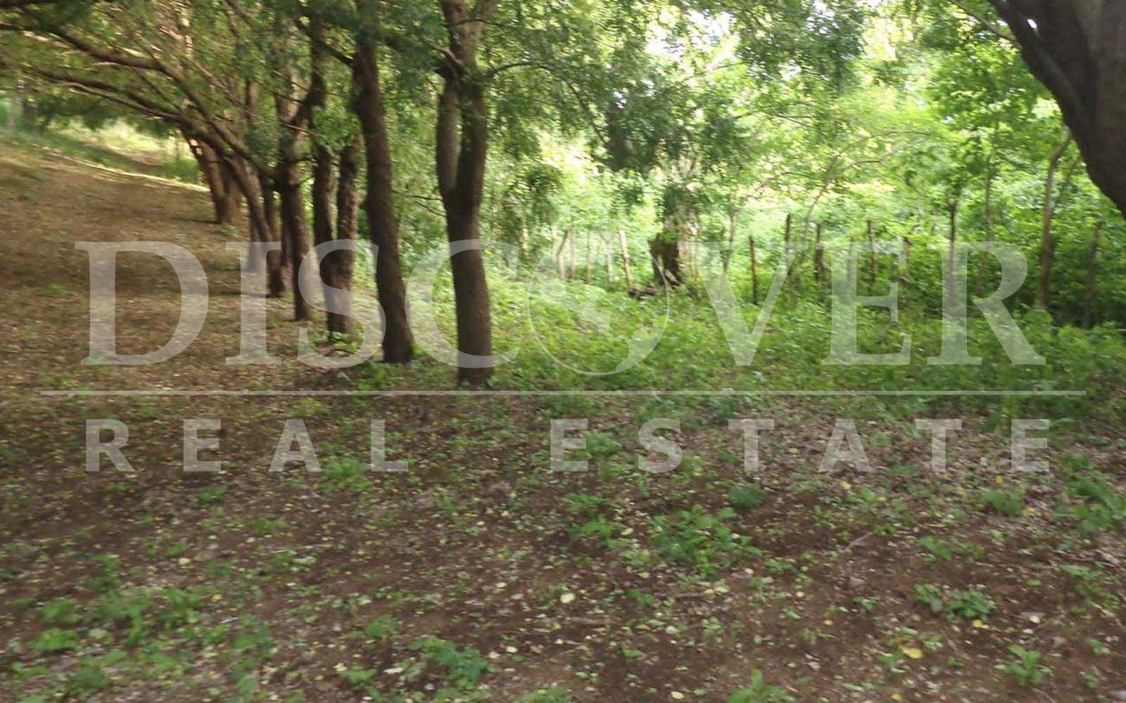 https://images.discovernica.com/propiedad/1600/Finca08.jpg